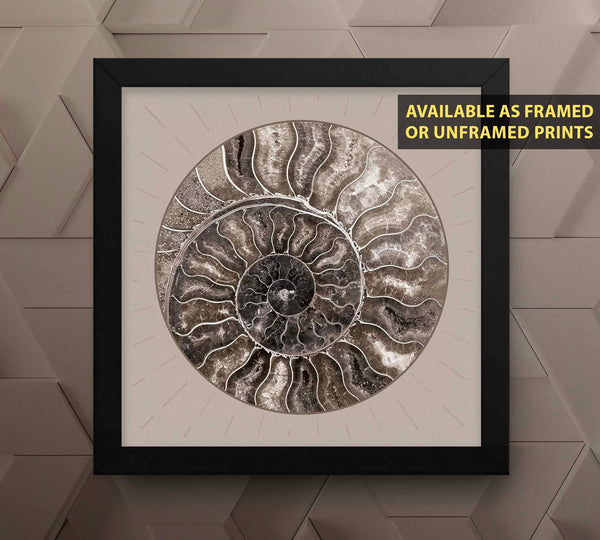 Fossil Ammonite Rock Wall Art for the Living Room image