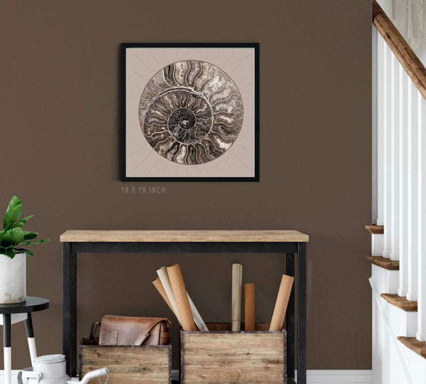 Fossil Ammonite Rock Wall Art for the Living Room; Cream Spiral Abstract Shell Circular Contemporary