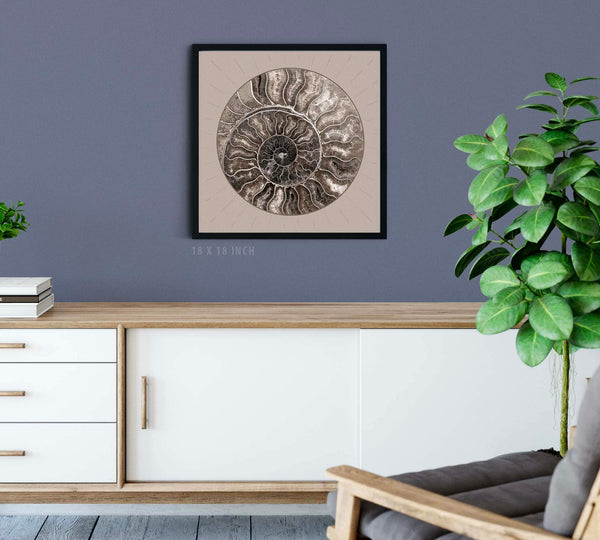Fossil Ammonite Rock Wall Art for the Living Room; Cream Spiral Abstract Shell Circular Contemporary