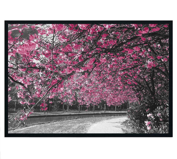 Cherry Blossom and Grey Trees Framed Photo Art
