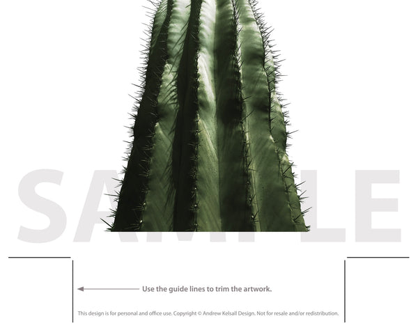 cactus print sample
